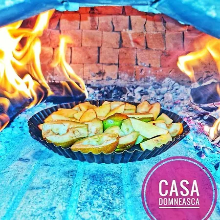 Casa Domneasca