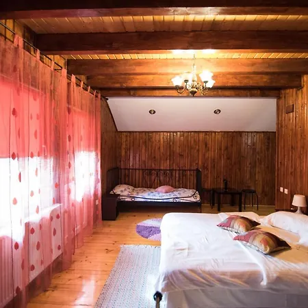 Casa Domneasca * Baia de Fier