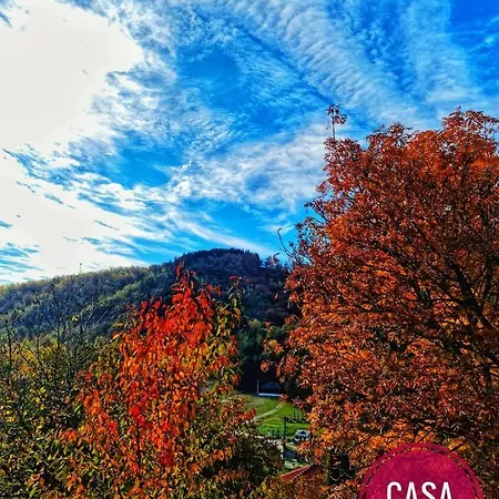 Lodge Casa Domneasca