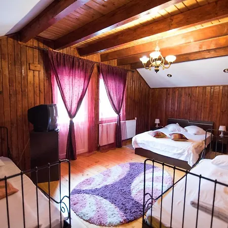 Casa Domneasca Baia de Fier