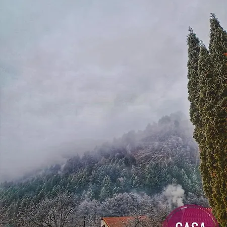 Casa Domneasca Lodge *
