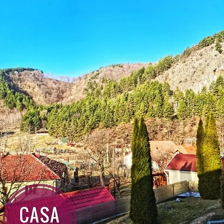 Casa Domneasca Baia de Fier