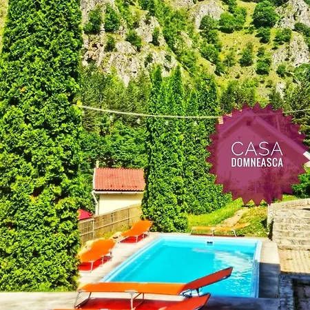 Casa Domneasca *